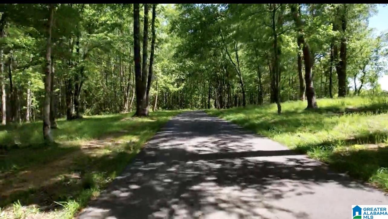 71 County Road Bremen, AL 35033 - Photo 3 of 13