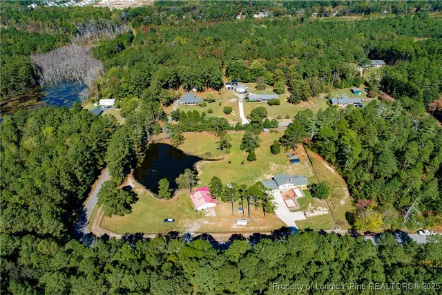 a view of a bunch of trees and flowers