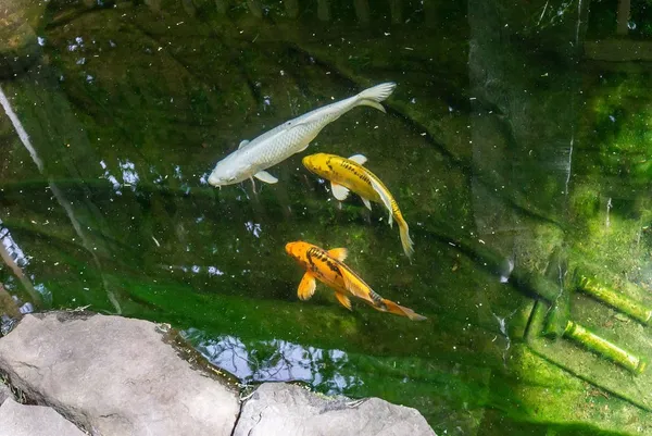 $2,500 | 249 County Street, Unit 2, Attleboro, MA 02703