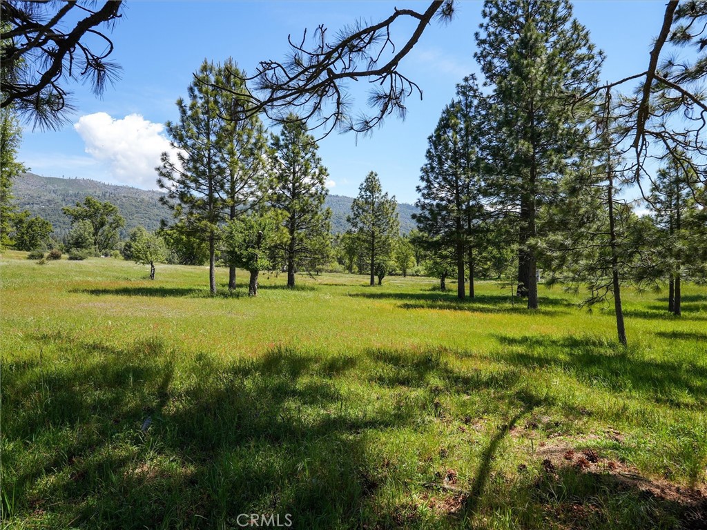 3137 Triangle Road Mariposa, CA 95338 - Photo 37 of 46 Gallery Image 37