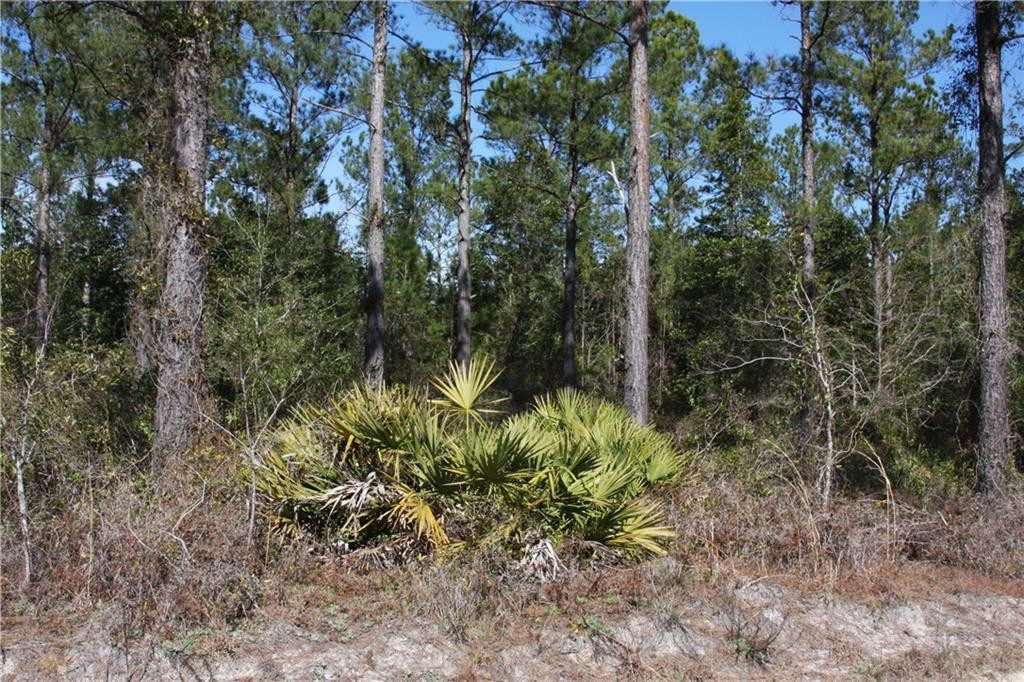 0 Southwest King Swamp Road Southwest Darien, GA 31305 - Photo 3 of 6