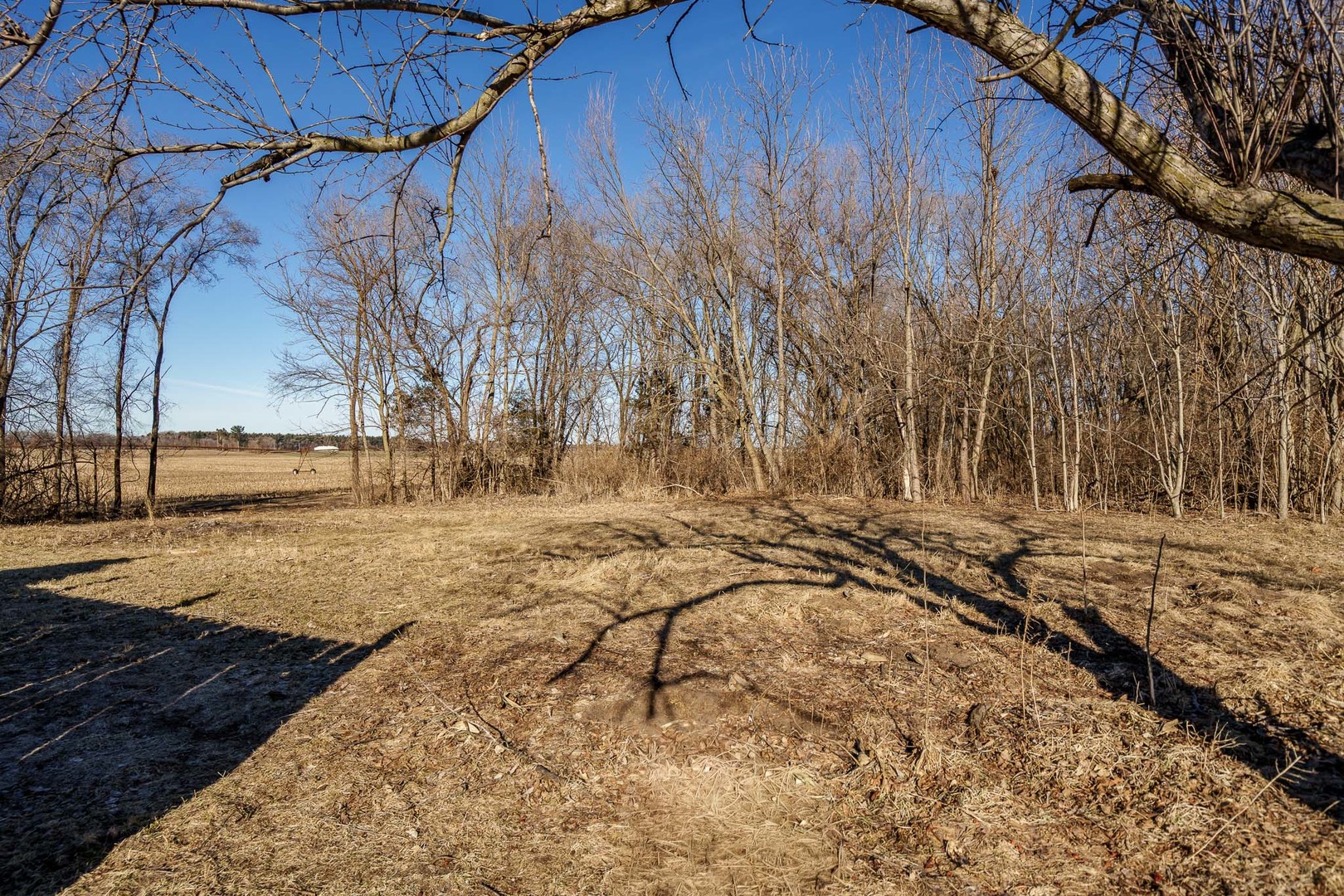 1010 North Street Thomson, IL 61285 - Photo 9 of 40