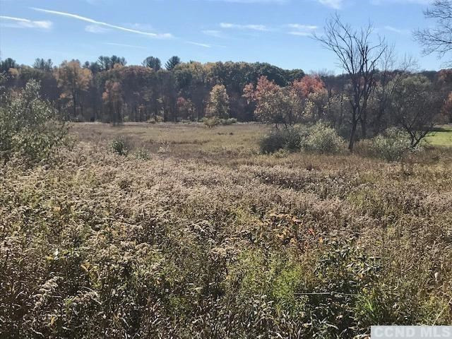 0 Martindale Road Taghkanic, NY 12521 - Photo 2 of 8 The field