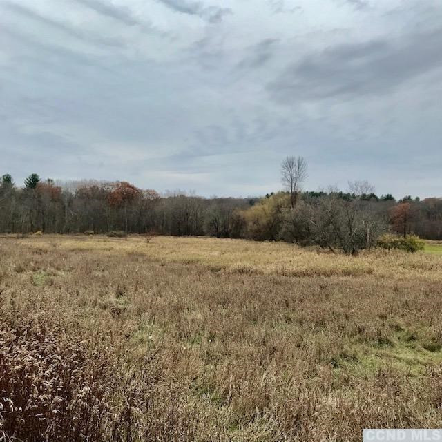 0 Martindale Road Taghkanic, NY 12521 - Photo 4 of 8 Photo 4