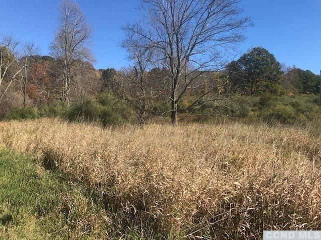 0 Martindale Road Taghkanic, NY 12521 - Photo 5 of 8 Photo 5