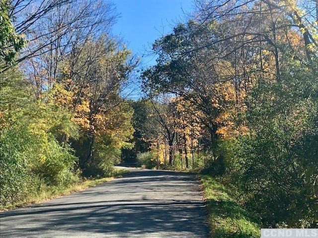 0 Martindale Road Taghkanic, NY 12521 - Photo 6 of 8 Photo 6