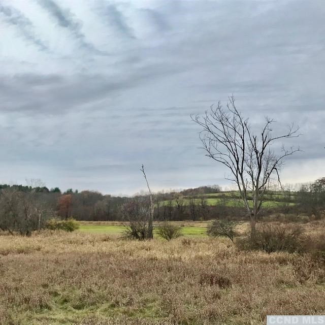 0 Martindale Road Taghkanic, NY 12521 - Photo 7 of 8 Distant view of neighboring farm land