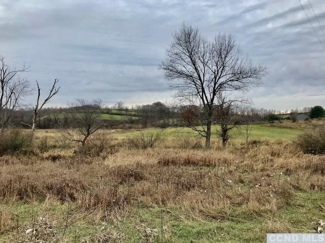 0 Martindale Road Taghkanic, NY 12521 - Photo 8 of 8 Photo 8