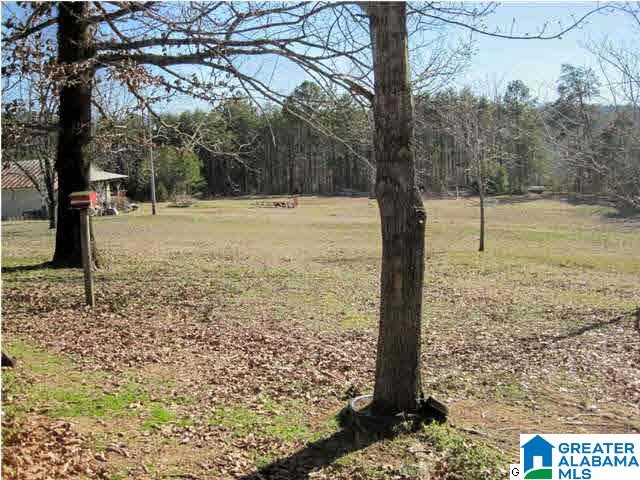 1551 Hagood Mtn Road Morris, AL 35116 - Photo 14 of 32