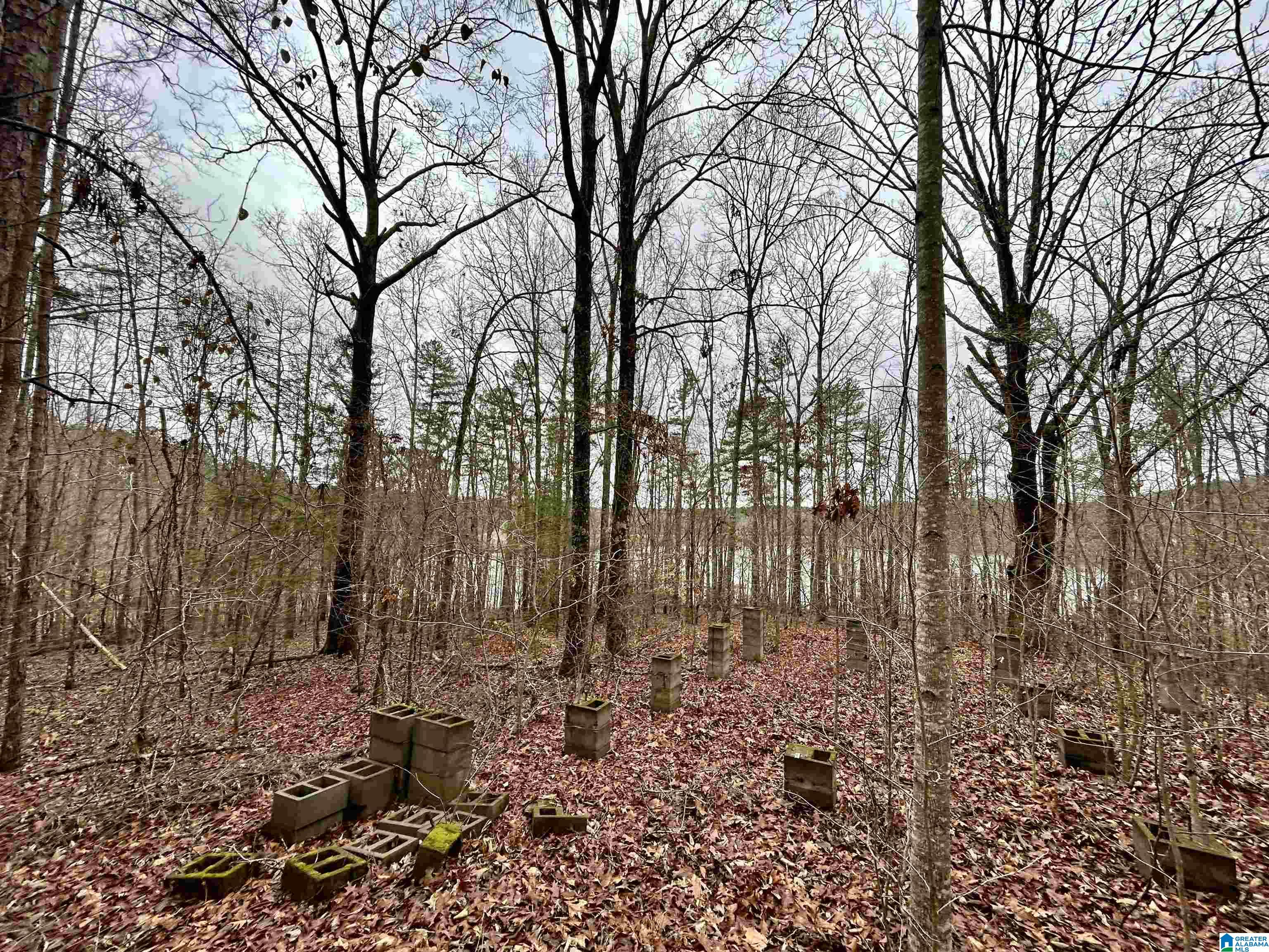 0 Olive Branch Road, Unit 25 Ashland, AL 36251 - Photo 11 of 15