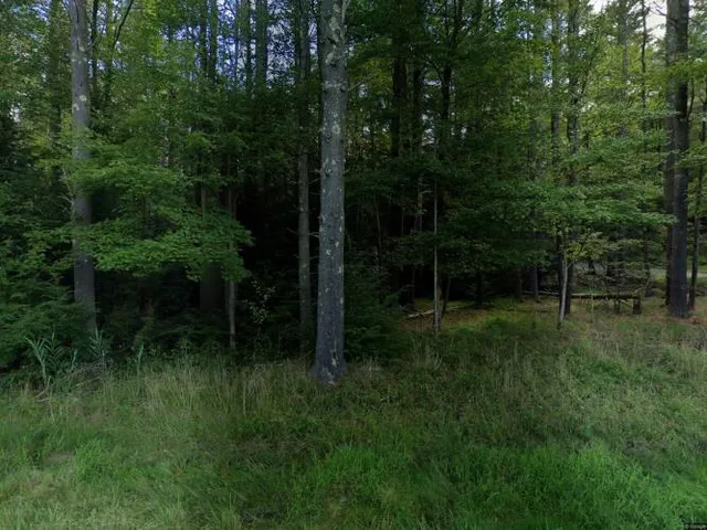 $725,000 | 642 Co Rte 31, Glen Spey, NY 12737