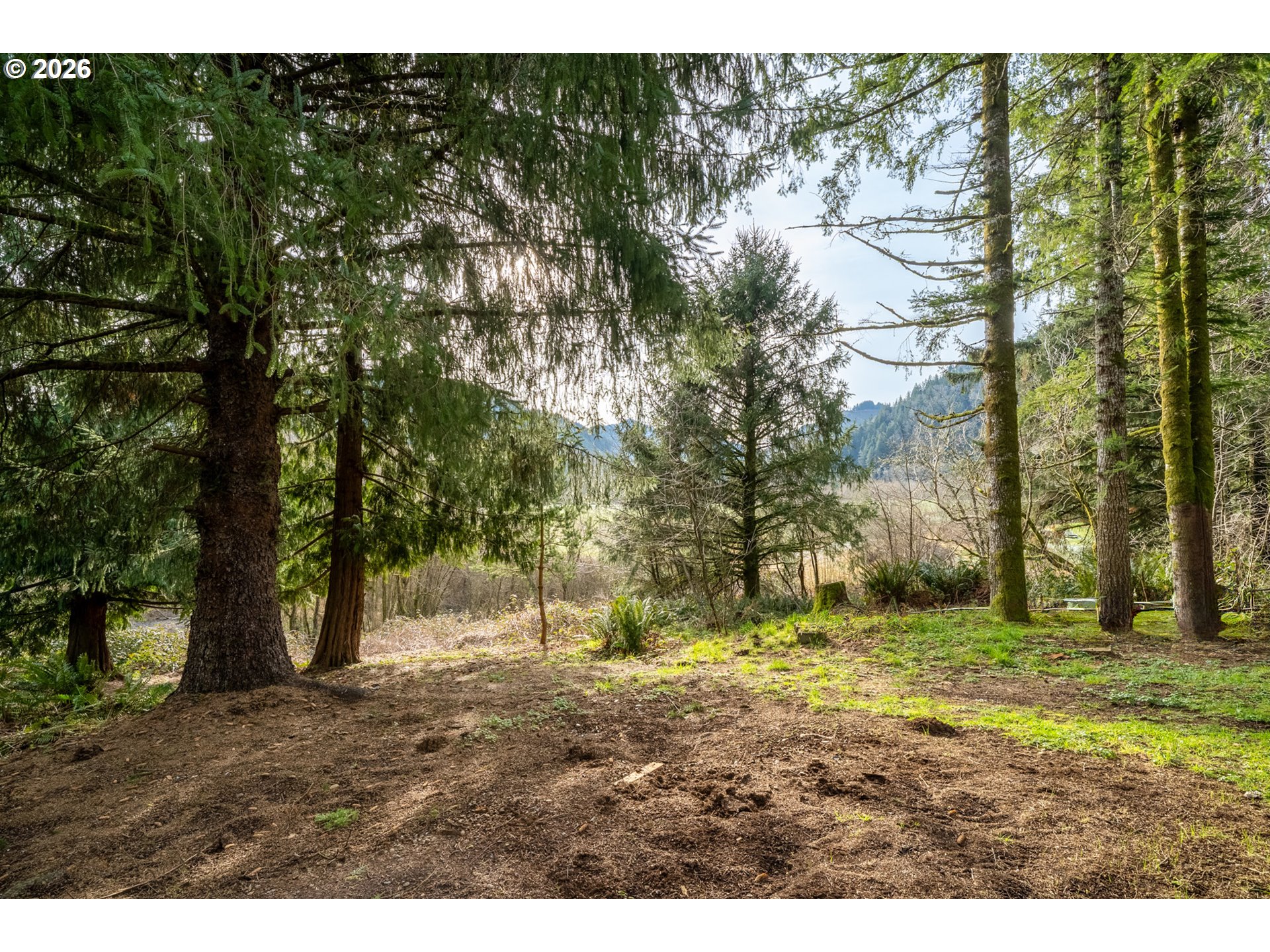 34000 Miami Foley Road Nehalem, OR 97131 - Photo 16 of 27