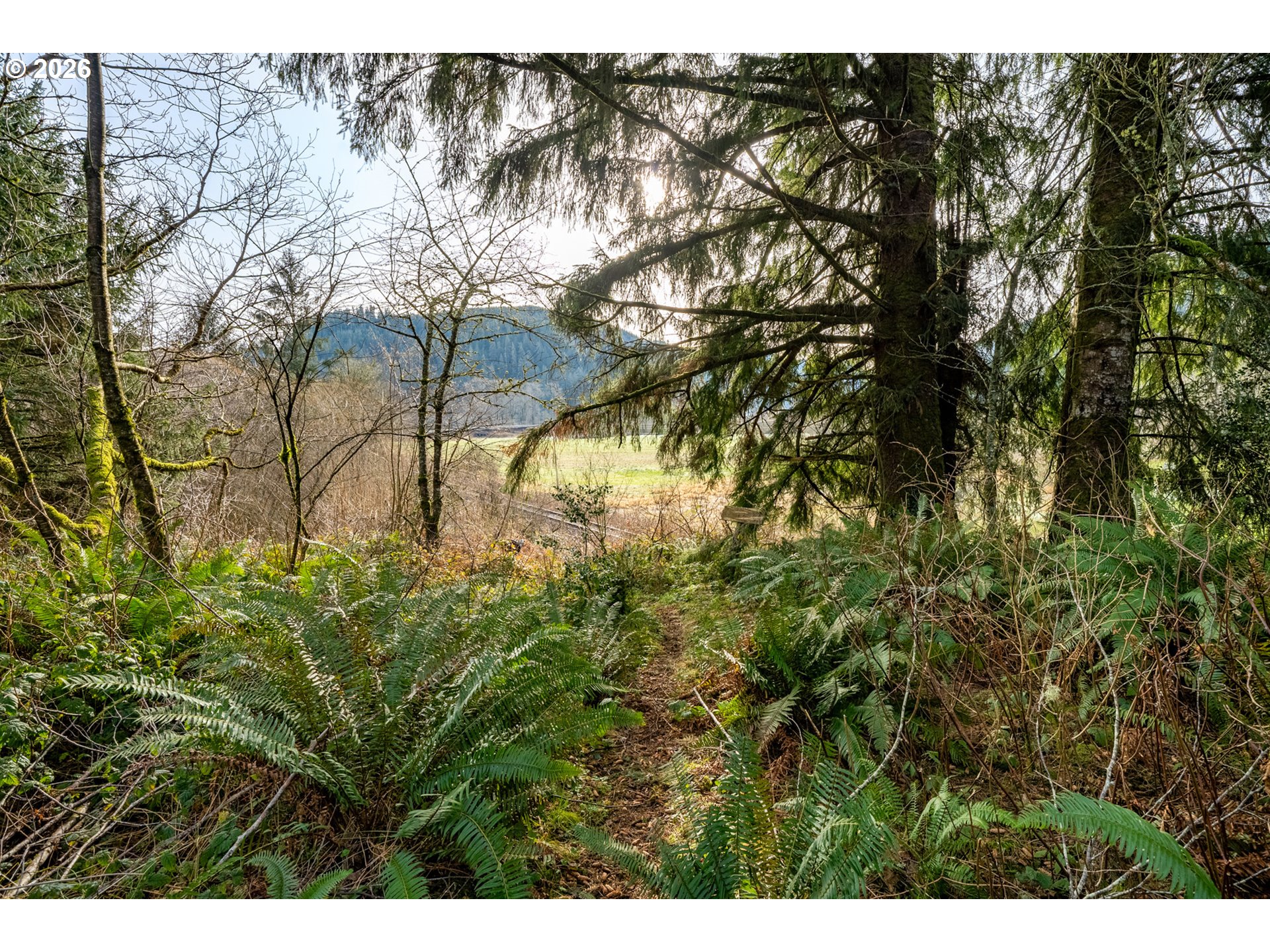 34000 Miami Foley Road Nehalem, OR 97131 - Photo 17 of 27