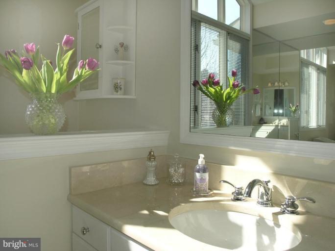 1565 Regatta Lane Reston, VA 20194 - Photo 14 of 30 Master Bath