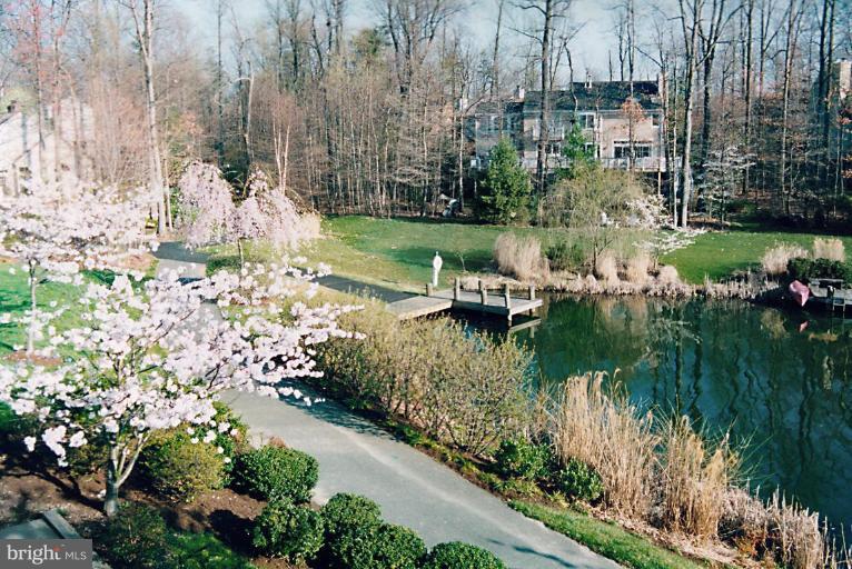 1565 Regatta Lane Reston, VA 20194 - Photo 19 of 30 Deck - View from