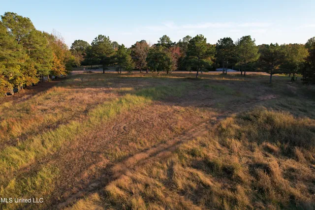 $250,000 | 5217 Potts Camp Road, Potts Camp, MS 38659