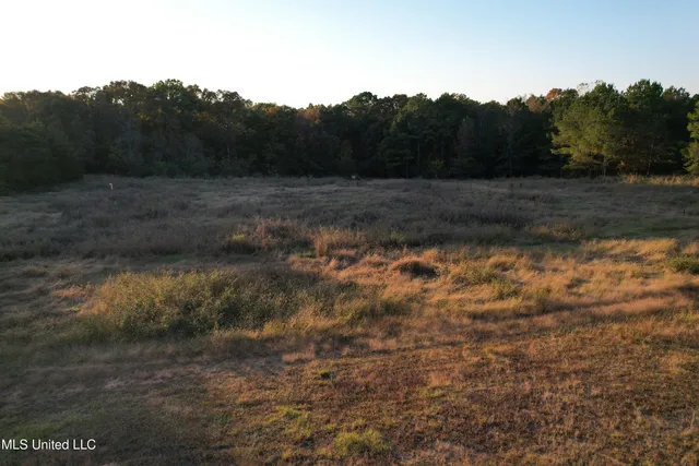 $250,000 | 5217 Potts Camp Road, Potts Camp, MS 38659