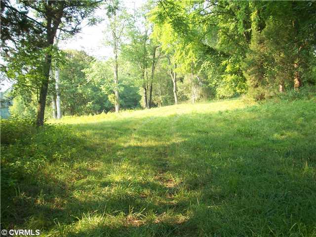 800 West River Road Manakin-Sabot, VA 23103 - Photo 1 of 4 Land/Lot - Meadow - bring your horses!