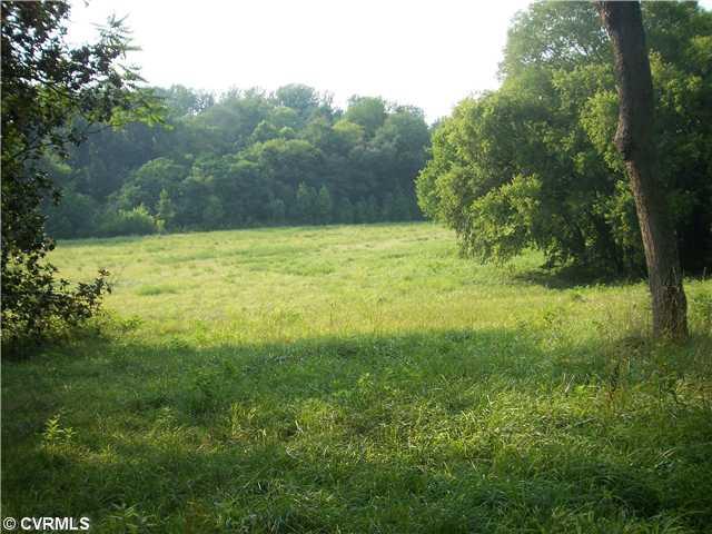 800 West River Road Manakin-Sabot, VA 23103 - Photo 2 of 4 Land/Lot - Views of the meadow