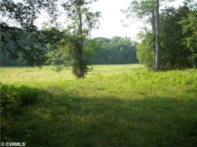 800 West River Road Manakin-Sabot, VA 23103 - Photo 3 of 4 Land/Lot - Driveway entering the home site