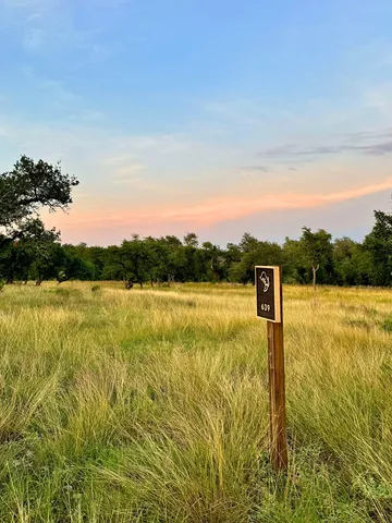 a view of a lake from a yard