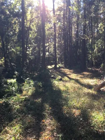 $115,000 | Tbd Tbd 438th Highway, Franklinton, LA 70438