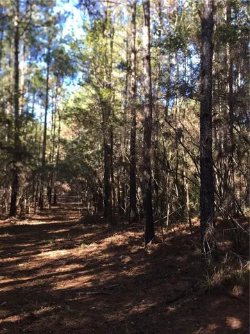 $115,000 | Tbd Tbd 438th Highway, Franklinton, LA 70438