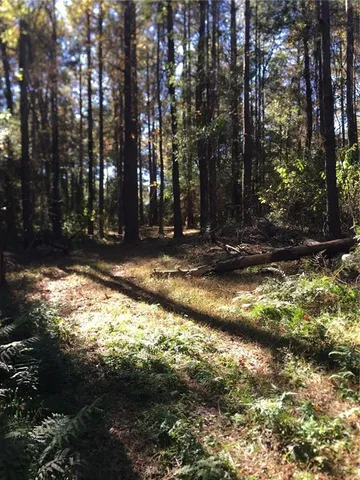 $115,000 | Tbd Tbd 438th Highway, Franklinton, LA 70438