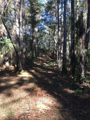 $115,000 | Tbd Tbd 438th Highway, Franklinton, LA 70438