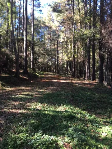 $115,000 | Tbd Tbd 438th Highway, Franklinton, LA 70438
