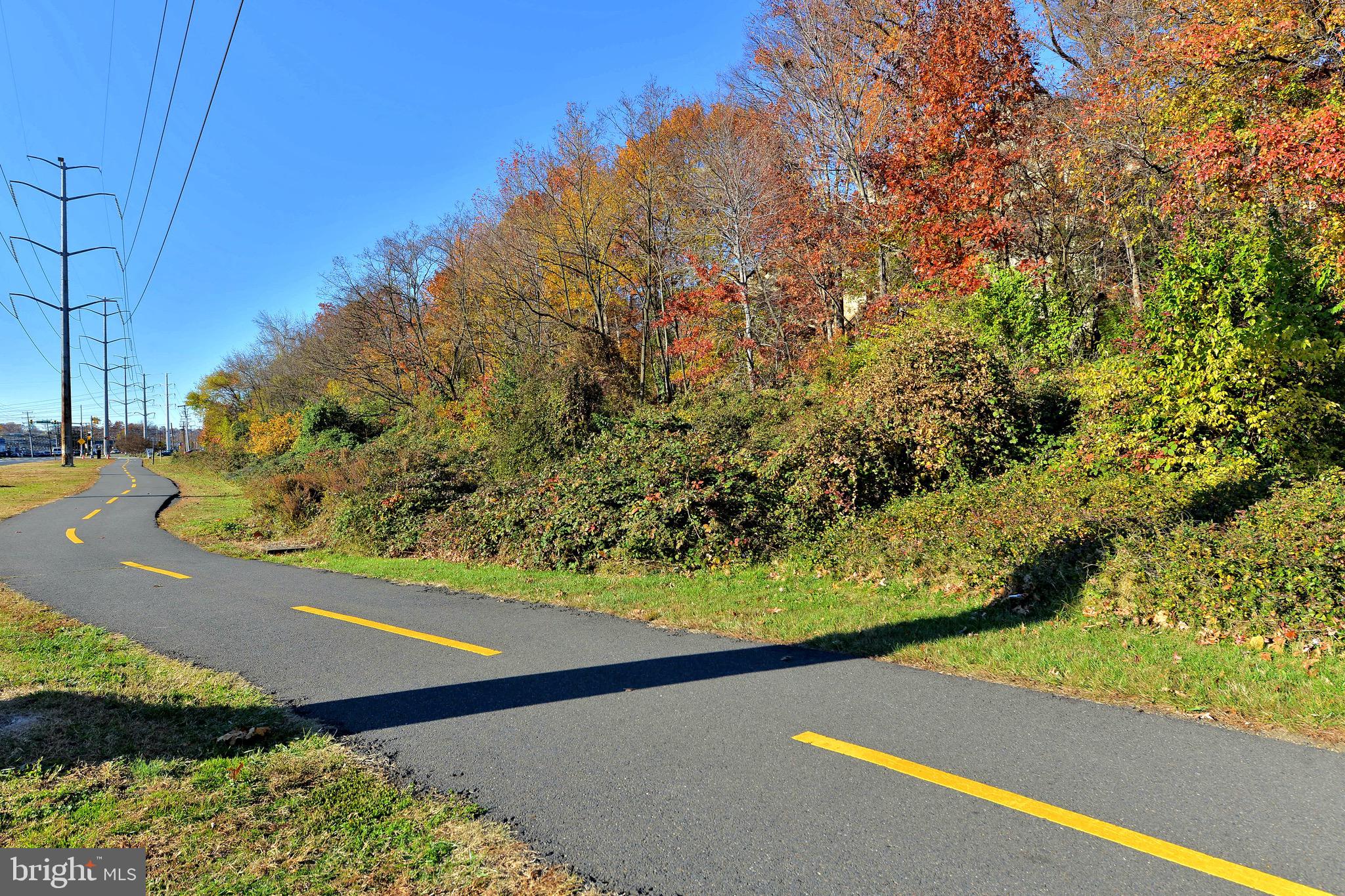 2823 24th Road South Arlington, VA 22206 - Photo 41 of 97 a view of a yard