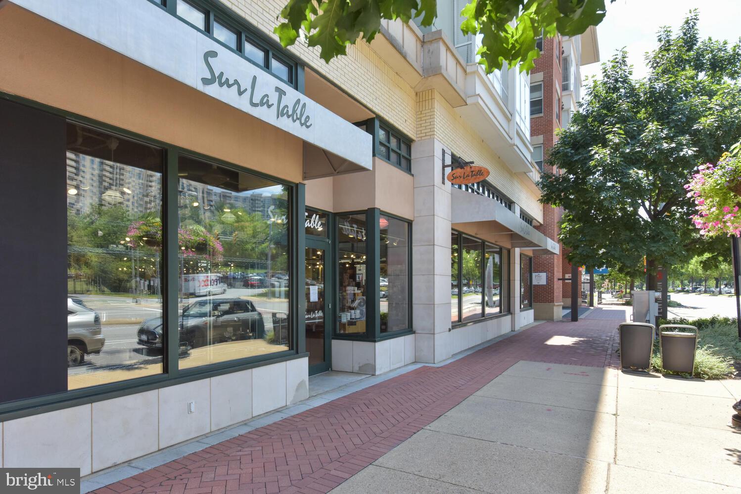 2823 24th Road South Arlington, VA 22206 - Photo 64 of 97 a view of a patio with a table and chairs and floor to ceiling window plants and large trees