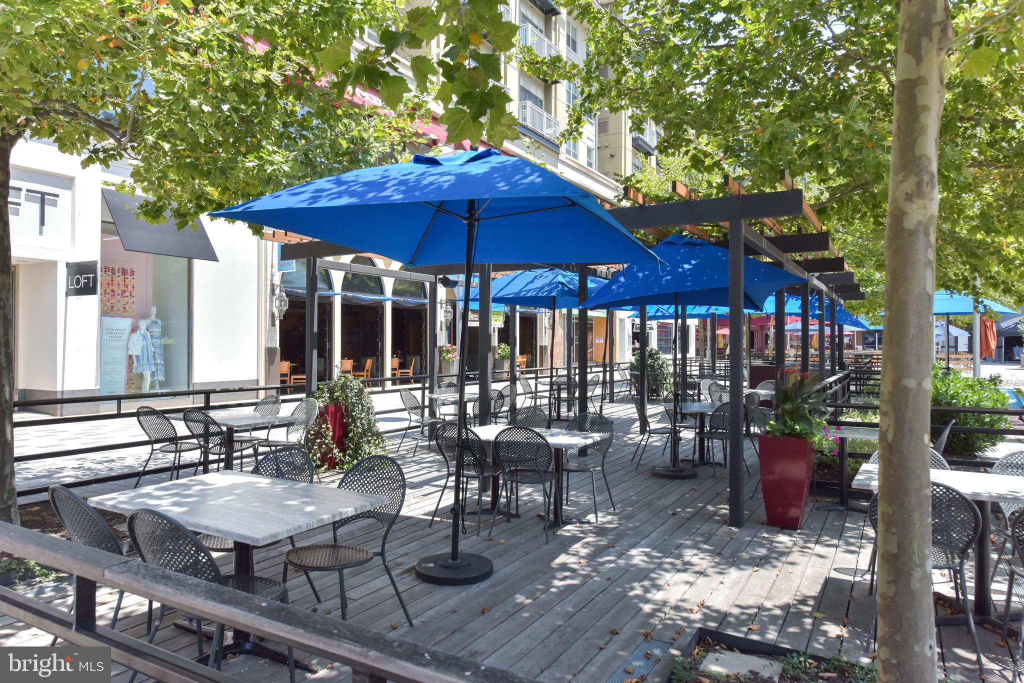 2823 24th Road South Arlington, VA 22206 - Photo 84 of 97 a view of outdoor space yard and patio
