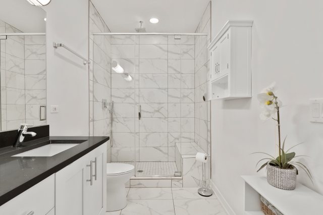 1027 Walnut Way Oak Park, IL 60302 - Photo 22 of 35 a bathroom with a granite countertop sink a toilet and shower
