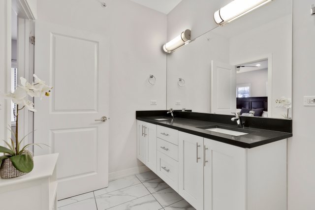 1027 Walnut Way Oak Park, IL 60302 - Photo 23 of 35 a bathroom with a granite countertop sink a mirror and a