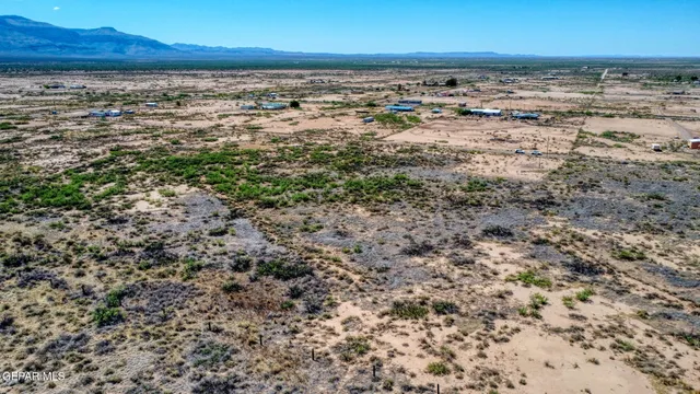 a view of a lush green field