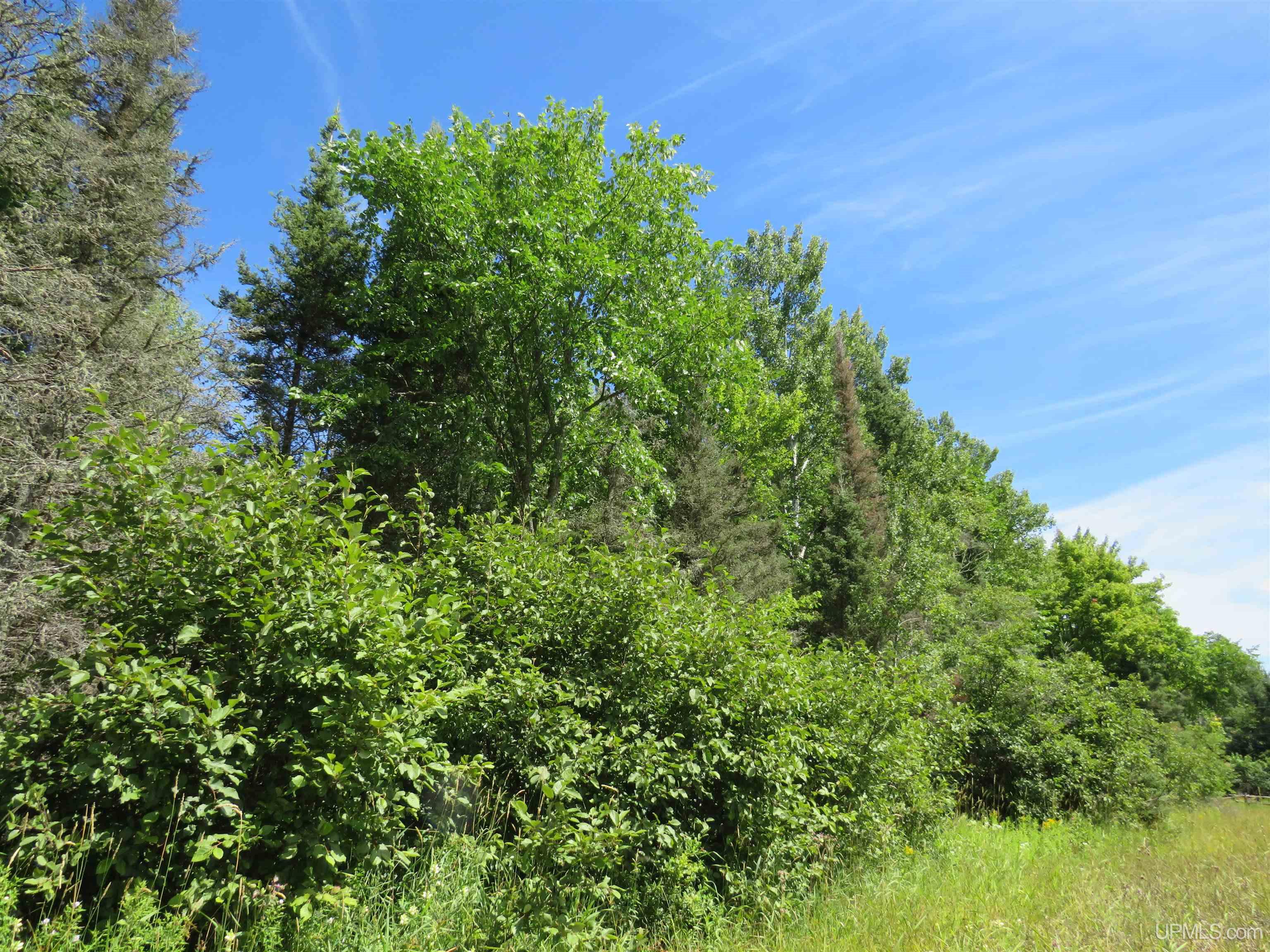 Tbd West Korpi Road, Unit ACROSS FROM 26217 KORPI R Watton, MI 49970 - Photo 10 of 40