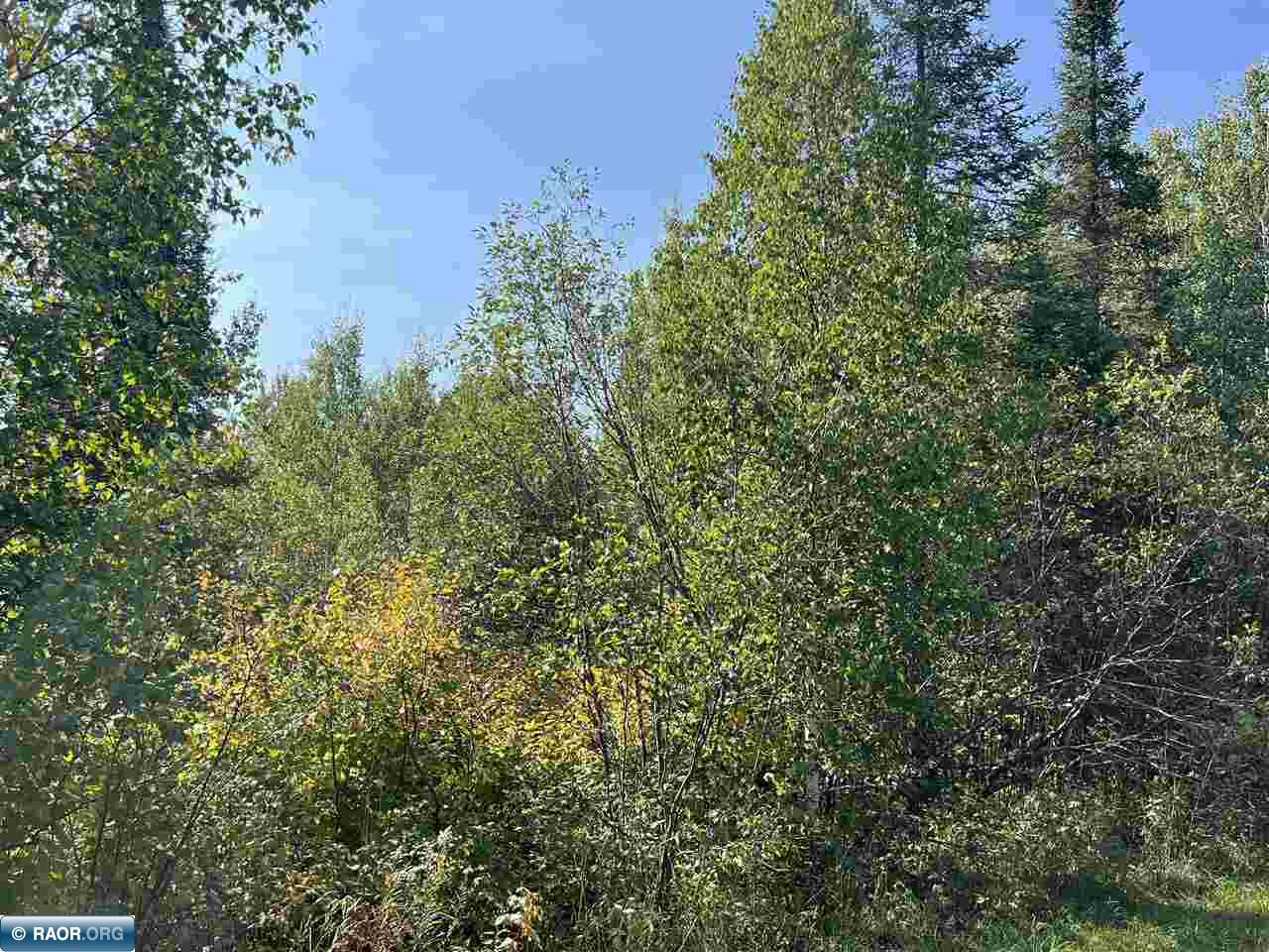 Tbd Oja Road Hibbing, MN 55746 - Photo 4 of 8