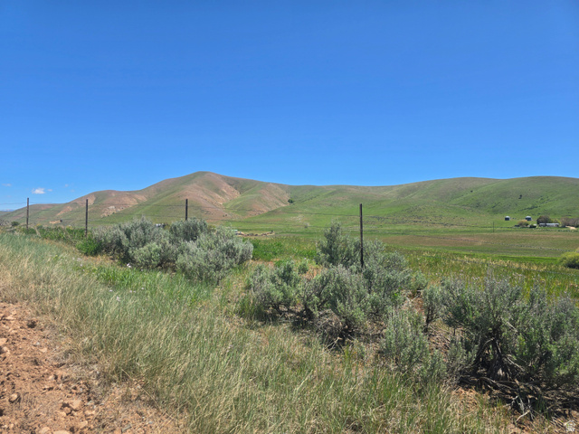 8400 North Treasurton Road Preston, ID 83263 - Photo 9 of 13 Expansive natural landscape featuring rolling green hills, a large open field, scattered sagebrush, and a clear blue sky