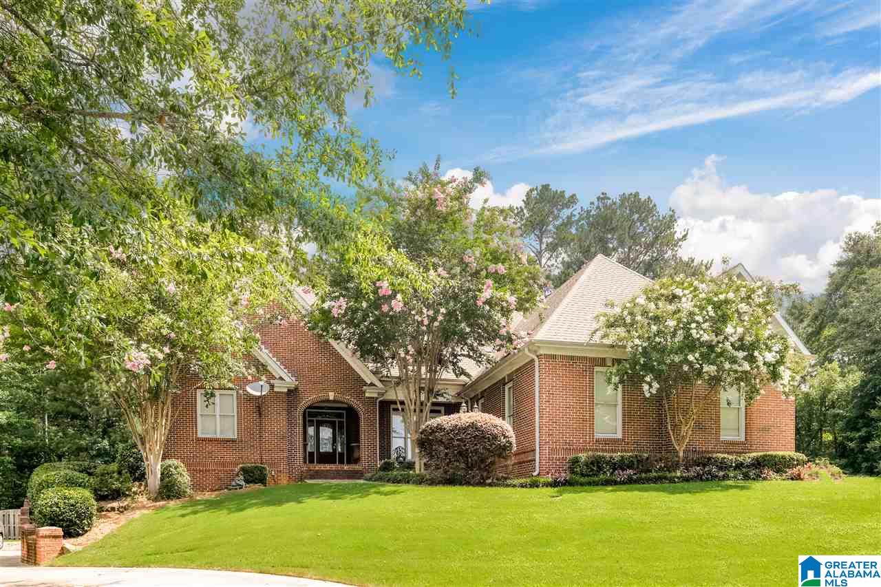 101 Shore Front Lane Wilsonville, AL 35186 - Photo 6 of 49