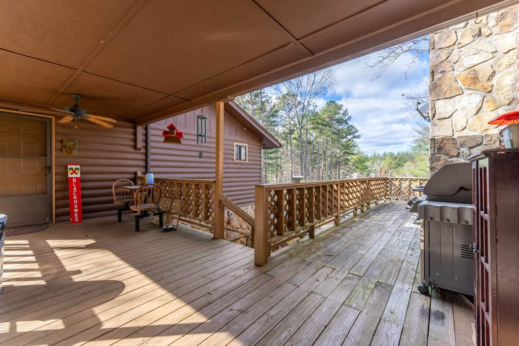300 Sandy Gap Road Murphy, NC 28906 - Photo 13 of 47