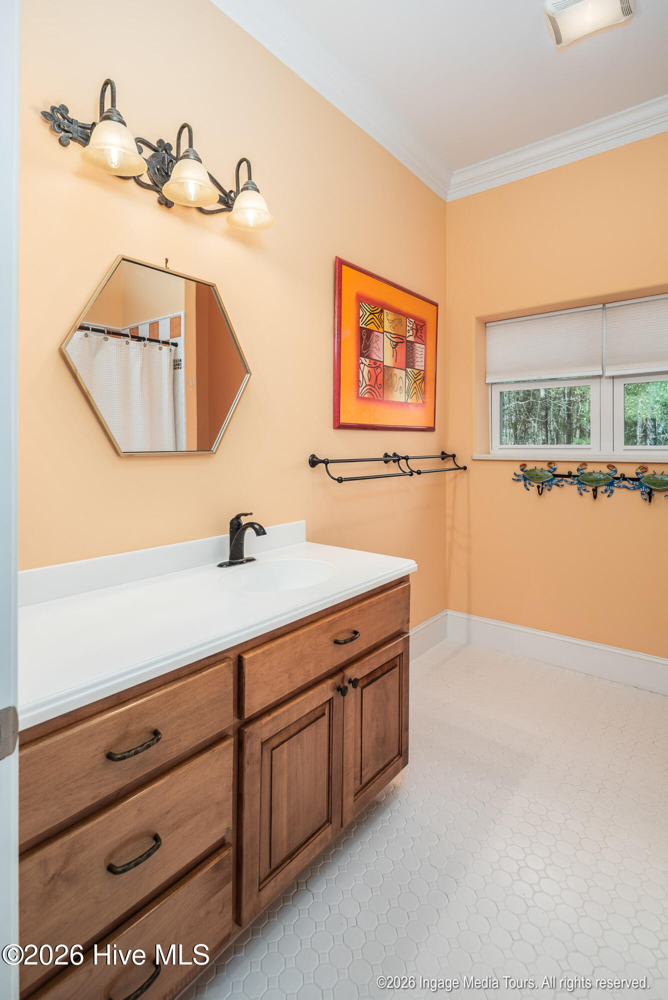 180 Tate Road Belhaven, NC 27810 - Photo 52 of 92 20260317 MLS J_Hopkins 180 Tate Rd Belha