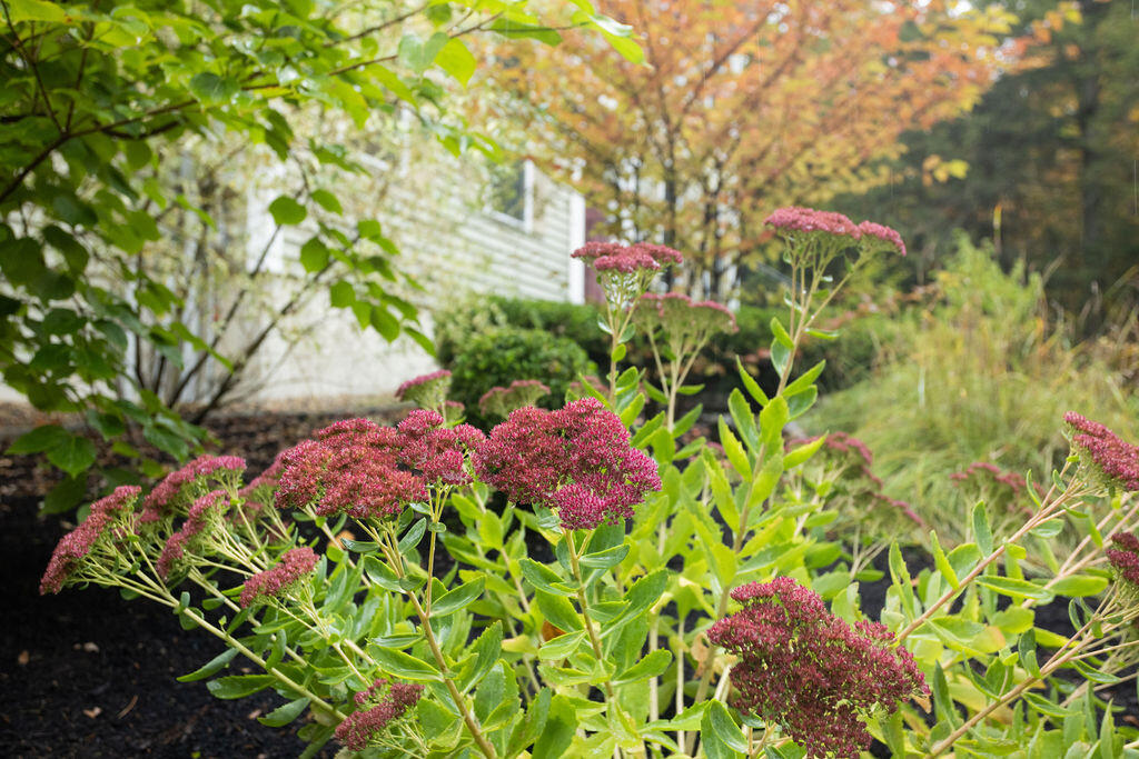 5 Shellie Lane Berwick, ME 03901 - Photo 46 of 55 5 Shellie Ln, Berwick