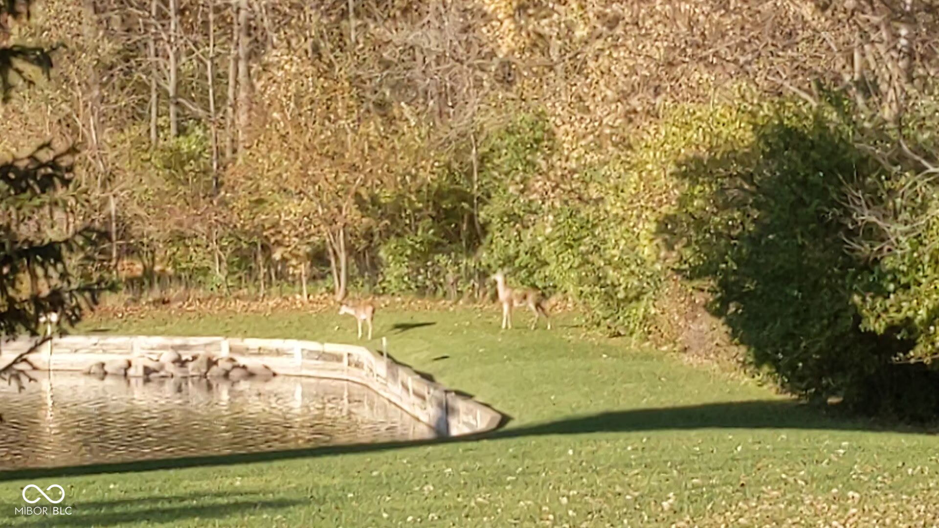 400 Prairie Trace Muncie, IN 47304 - Photo 40 of 45