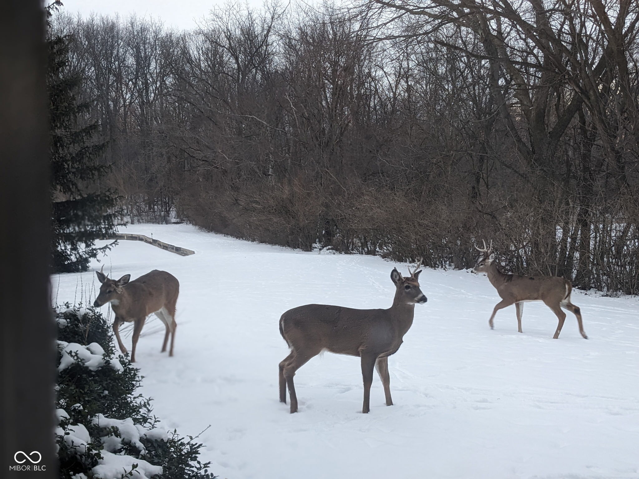 400 Prairie Trace Muncie, IN 47304 - Photo 41 of 45