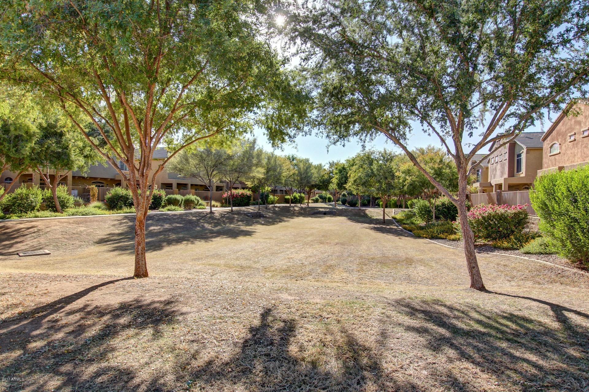 1350 South Greenfield Road, Unit 1157 Mesa, AZ 85206 - Photo 26 of 27 9FC29FAF-2213-491D-AF17-51D90F9162A5