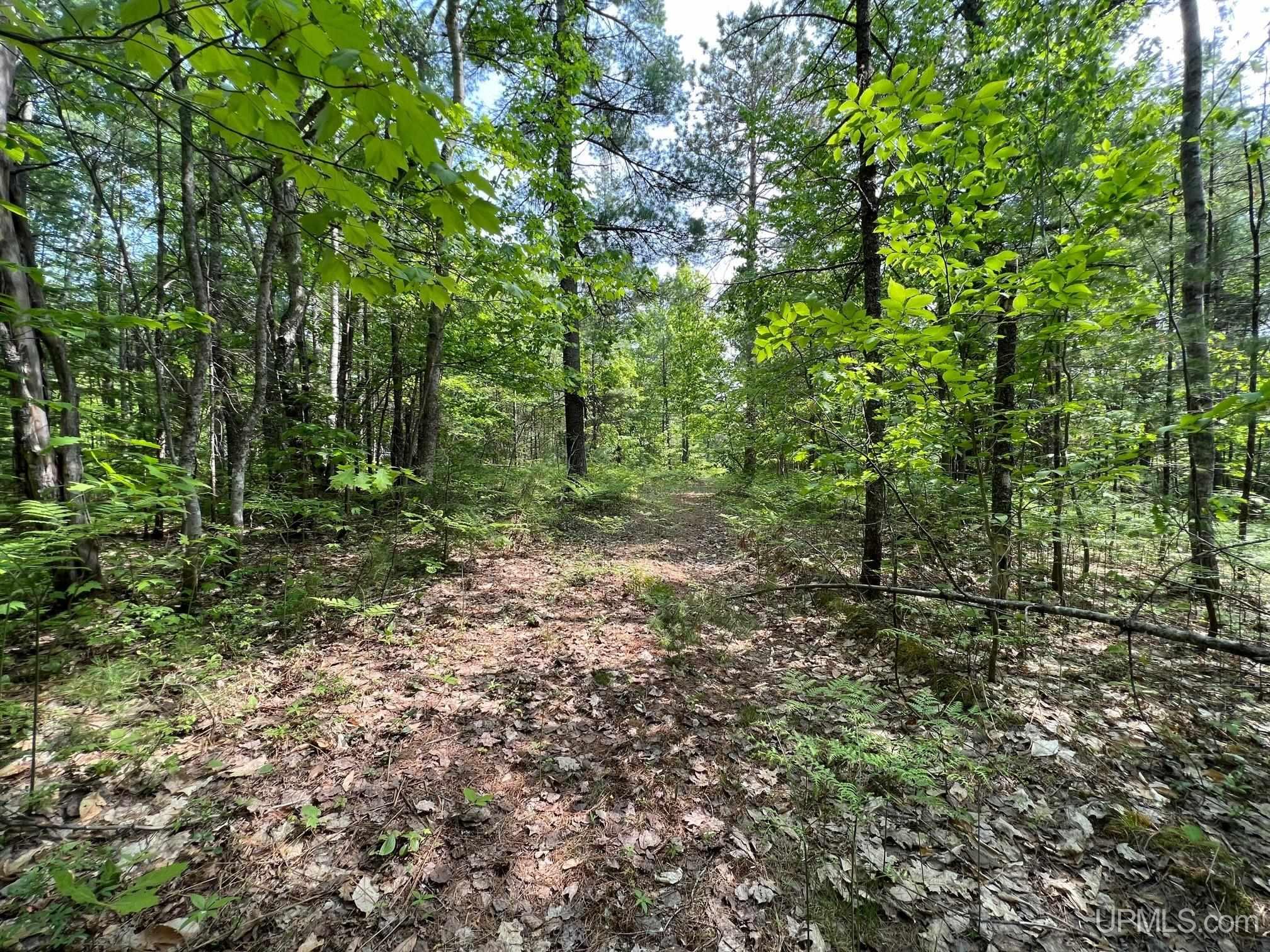 Tbd Powell Lake Road Wetmore, MI 49895 - Photo 2 of 13