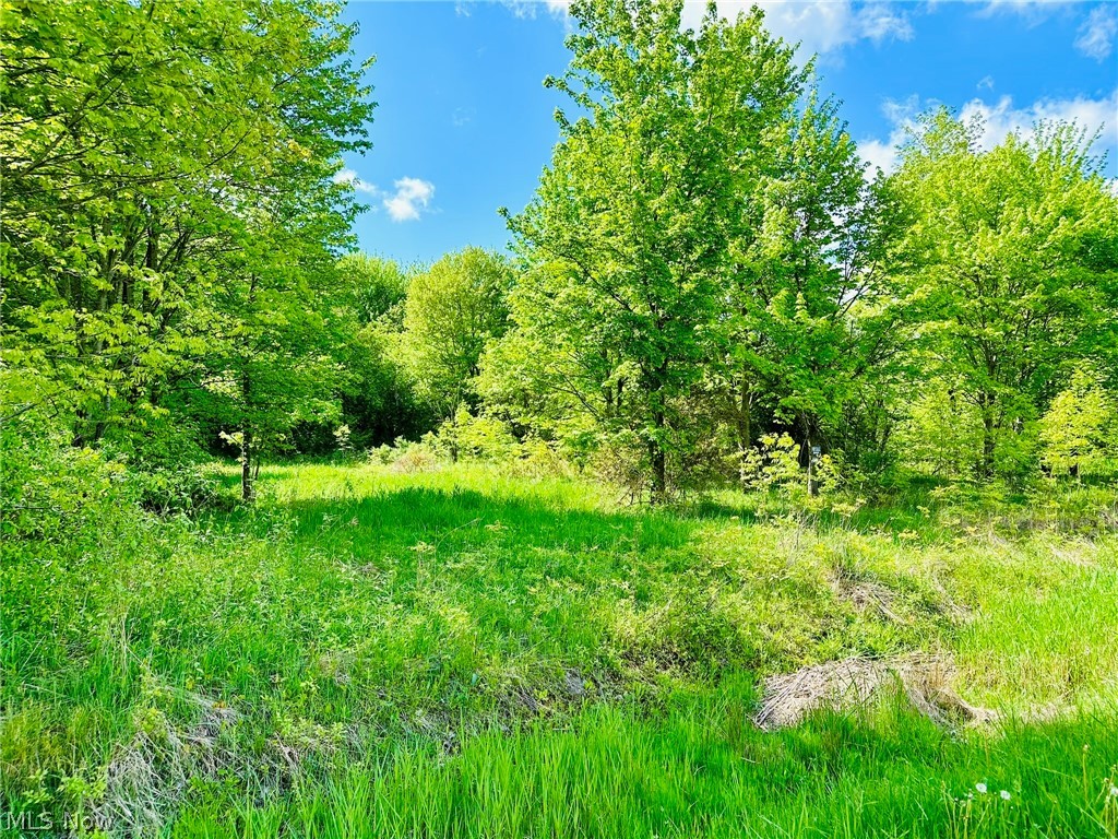 Vl Belden Road Andover, OH 44003 - Photo 1 of 8 View of local wilderness