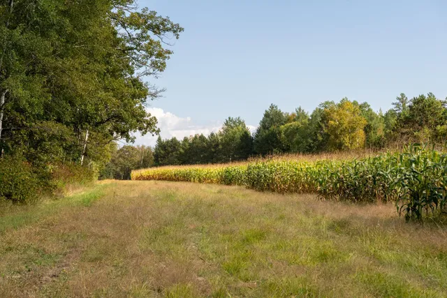 $1,750,000 | 30968 Highway 200, Laporte, MN 56461