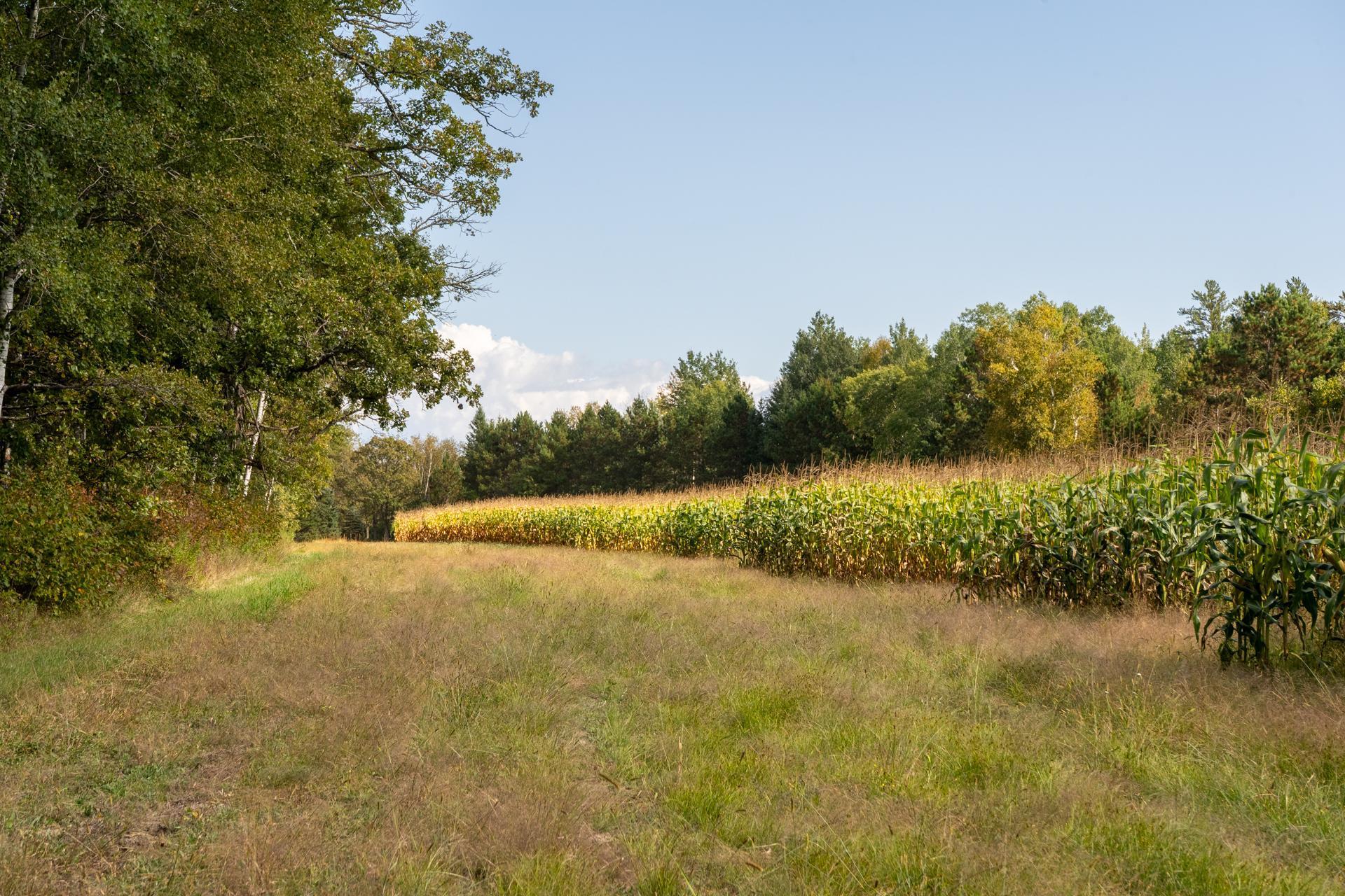 30968 Highway 200 Laporte, MN 56461 - Photo 32 of 75